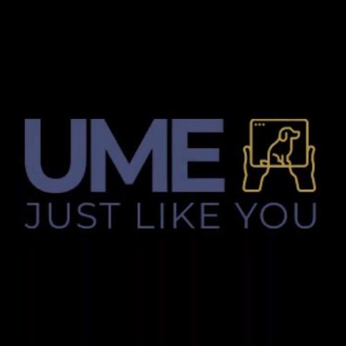 Презентация UME